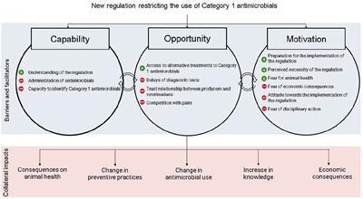 Barriers and facilitators to implementing a new regulation restricting antimicrobial use in dairy production in Québec, Canada: A qualitative study